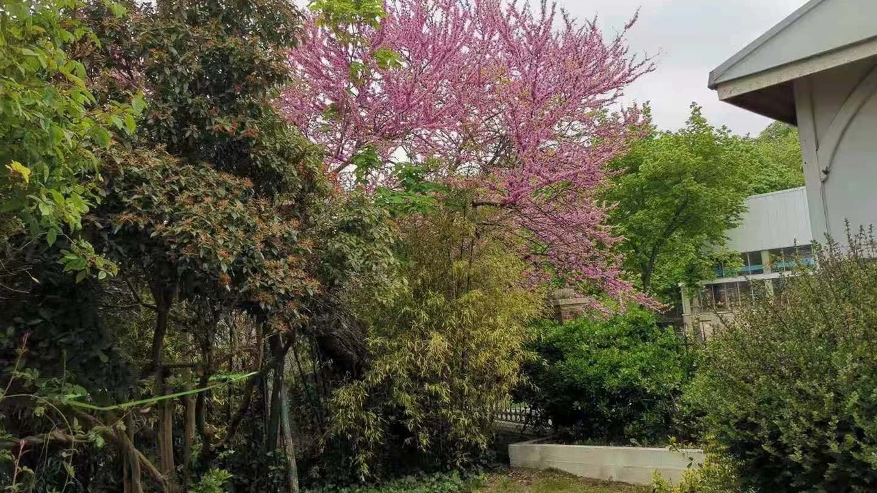 Photo of Outdoor in Sevres