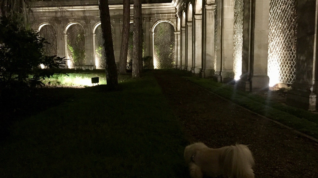 Photo of Outdoor in Porte-Dauphine