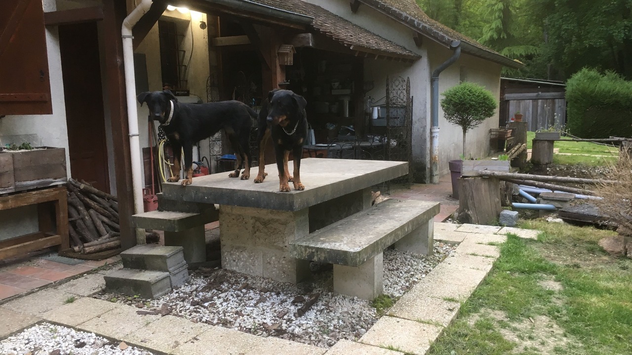 Photo of Outdoor in La Celle-sur-Morin