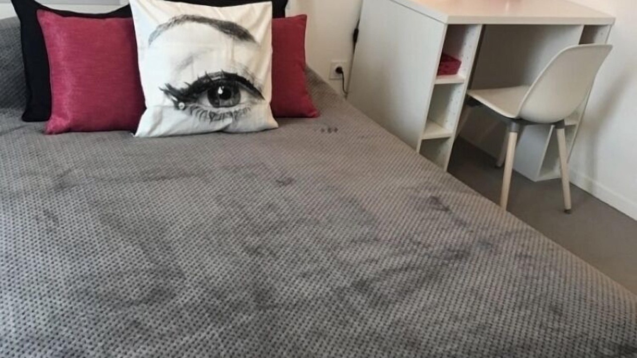 Photo of Bedroom in Ivry-port