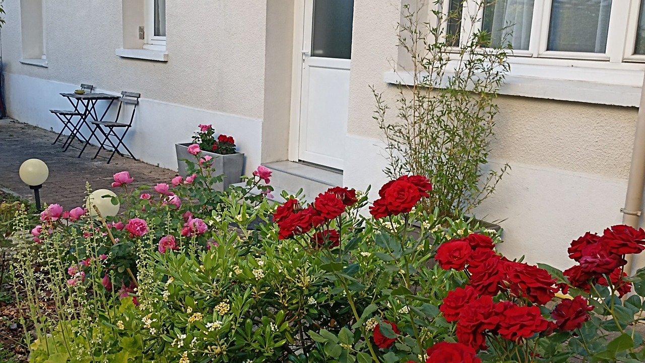 Photo of Outdoor in Garches