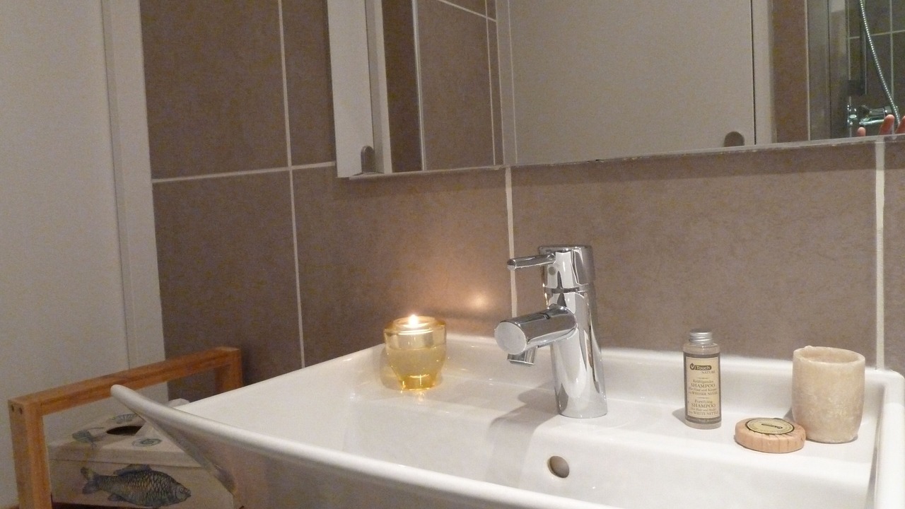 Photo of Bathroom in Bois Clos d'Orleans