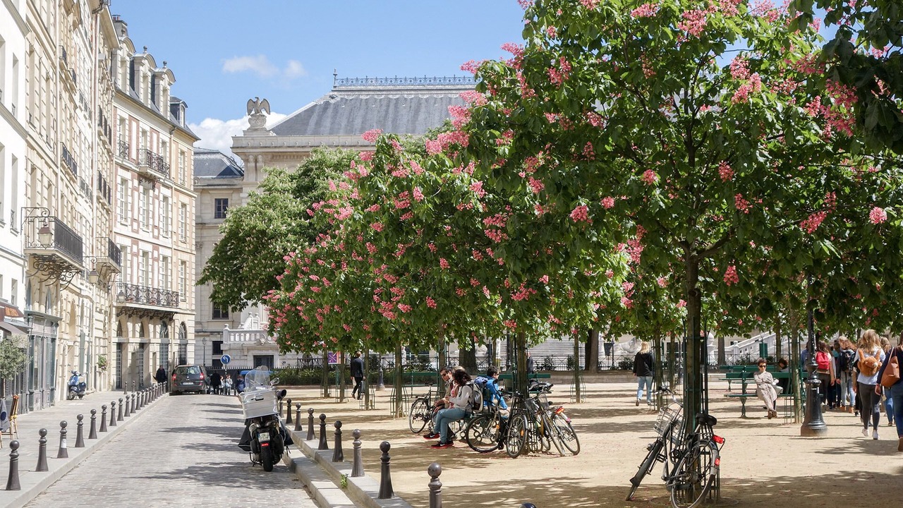 Photo of Others in Paris City Center