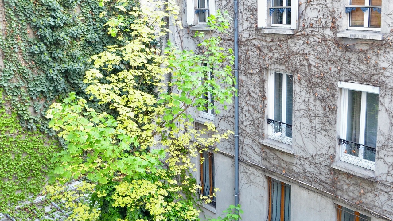 Photo of Outdoor in Notre-Dame-des-Champs