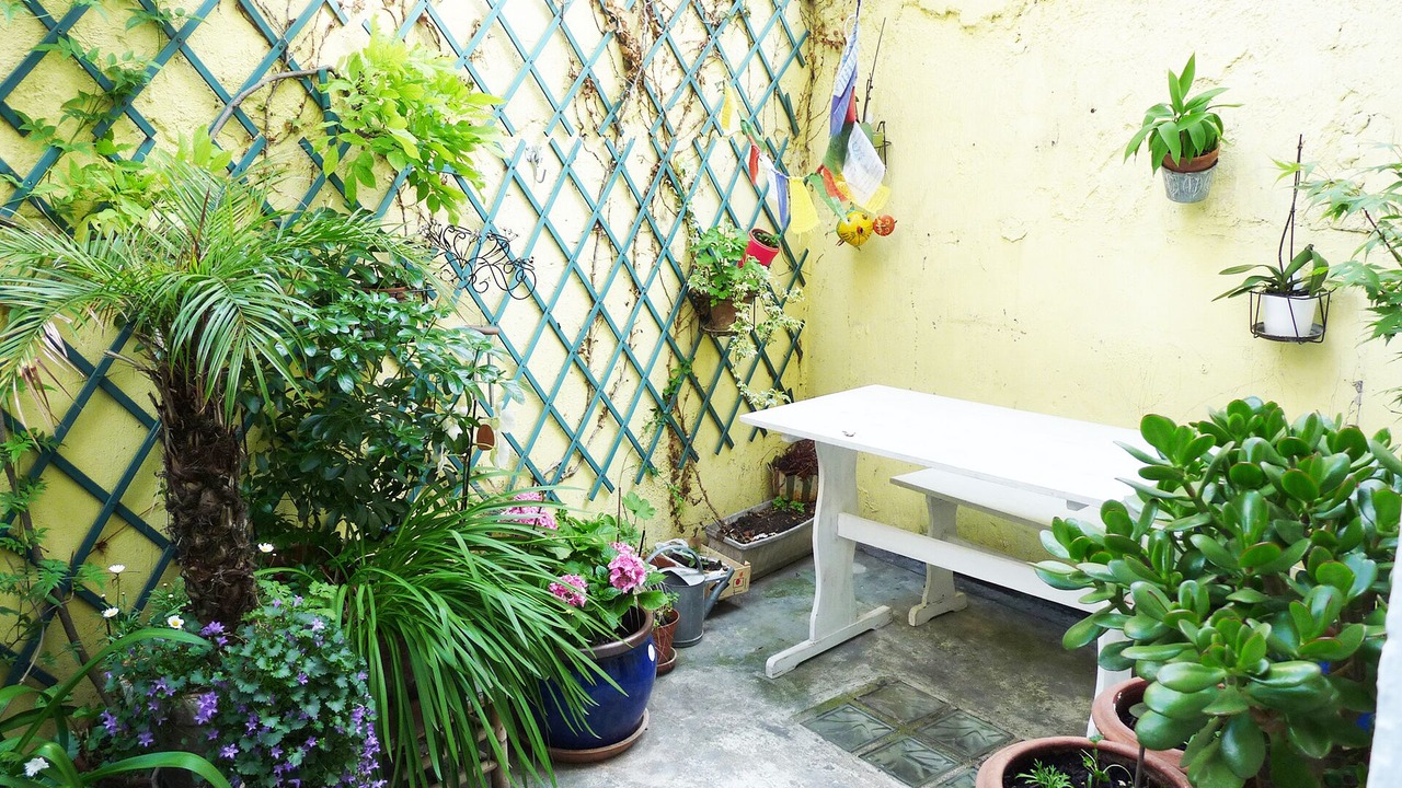Photo of Patio Balcony in Plaisance