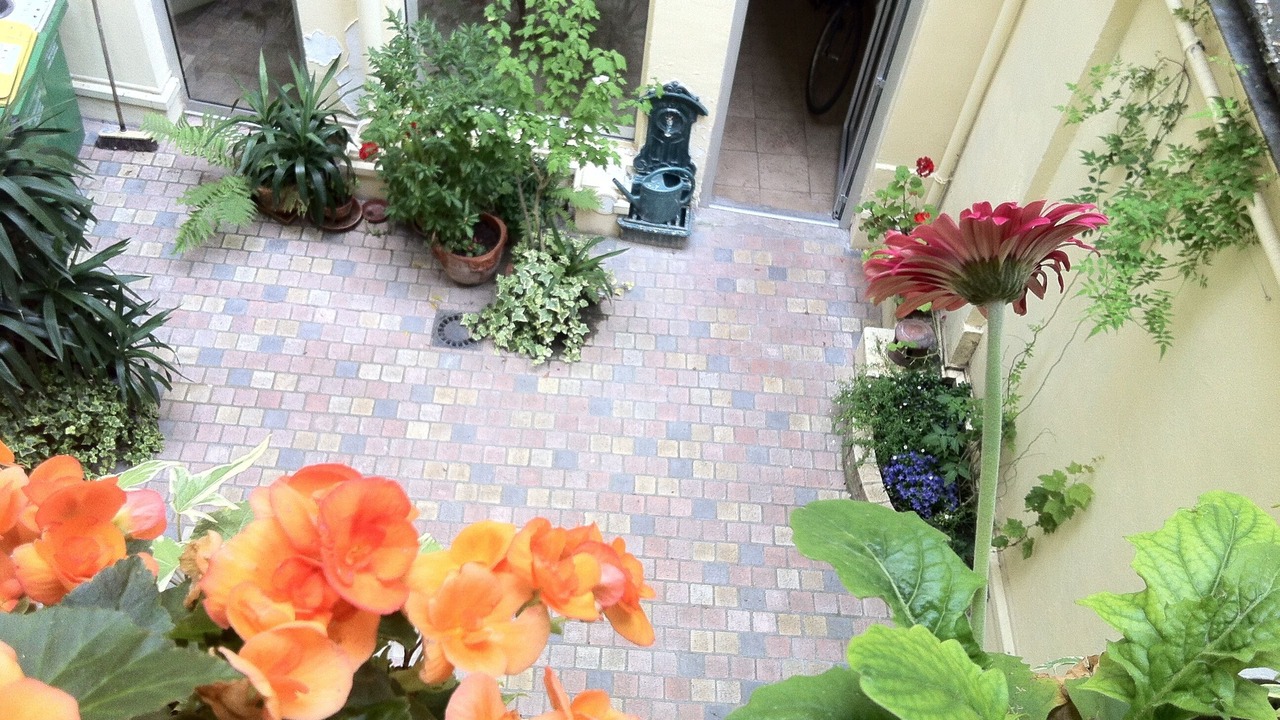 Photo of Outdoor in Plaisance