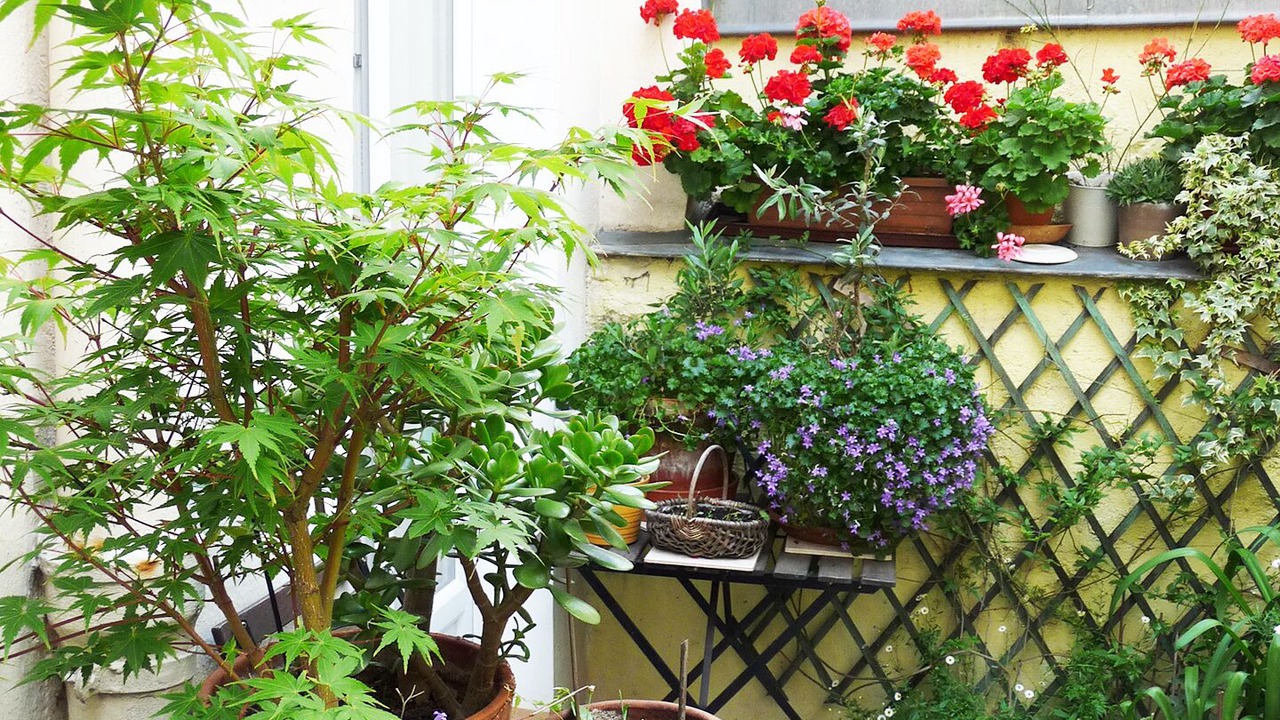 Photo of Outdoor in Plaisance
