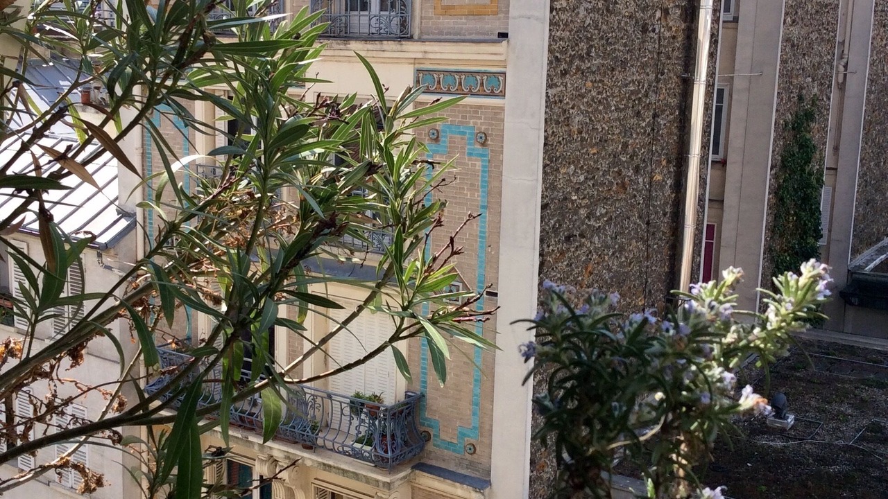 Photo of Patio Balcony in Amerique