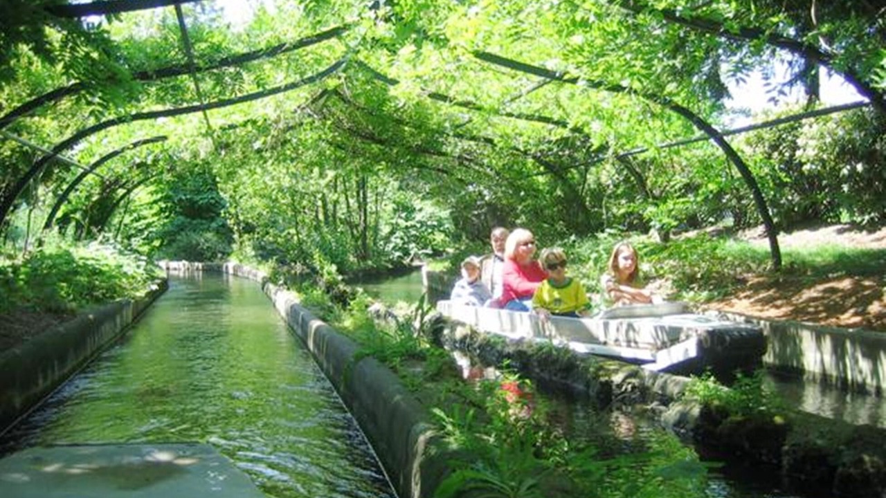 Photo of Others in Chaillot