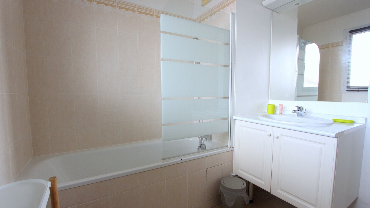 Photo of Bathroom in Serris