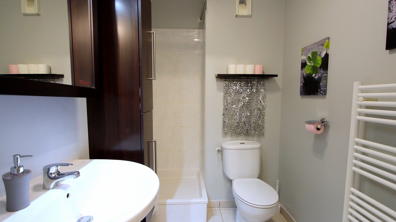 Photo of Bathroom in Serris