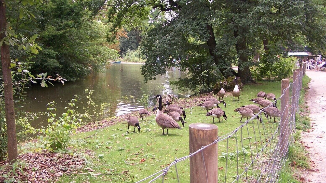 Photo of Outdoor in Les Viselets