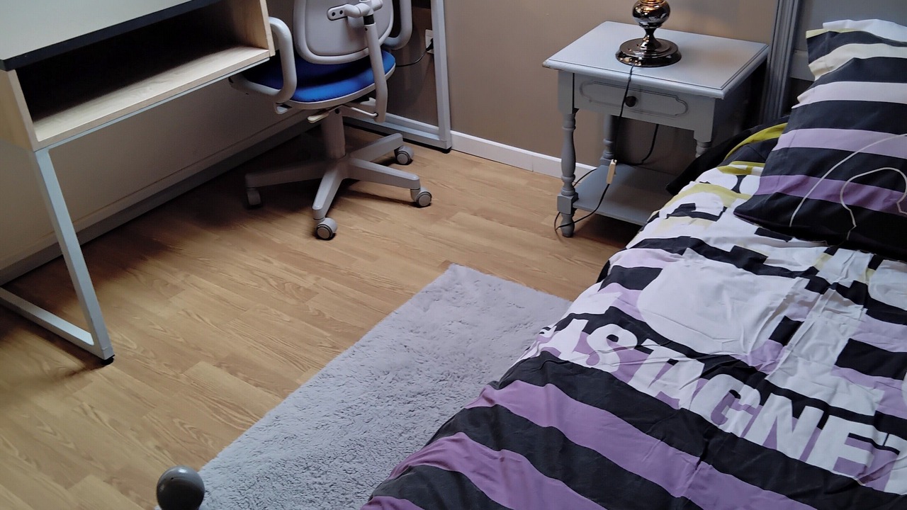 Photo of Bedroom in Noisiel