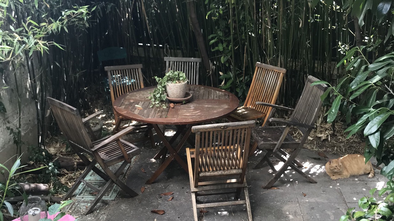 Photo of Outdoor in Pasteur-Rousseau
