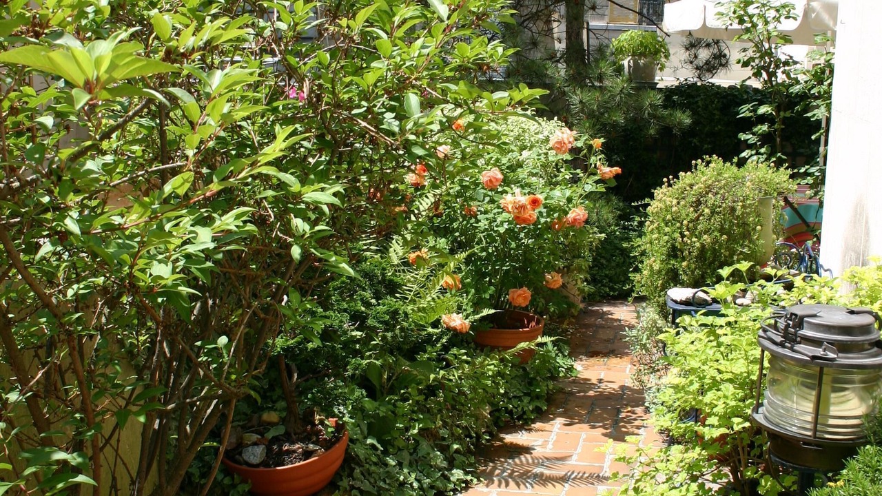 Photo of Patio Balcony in Archives