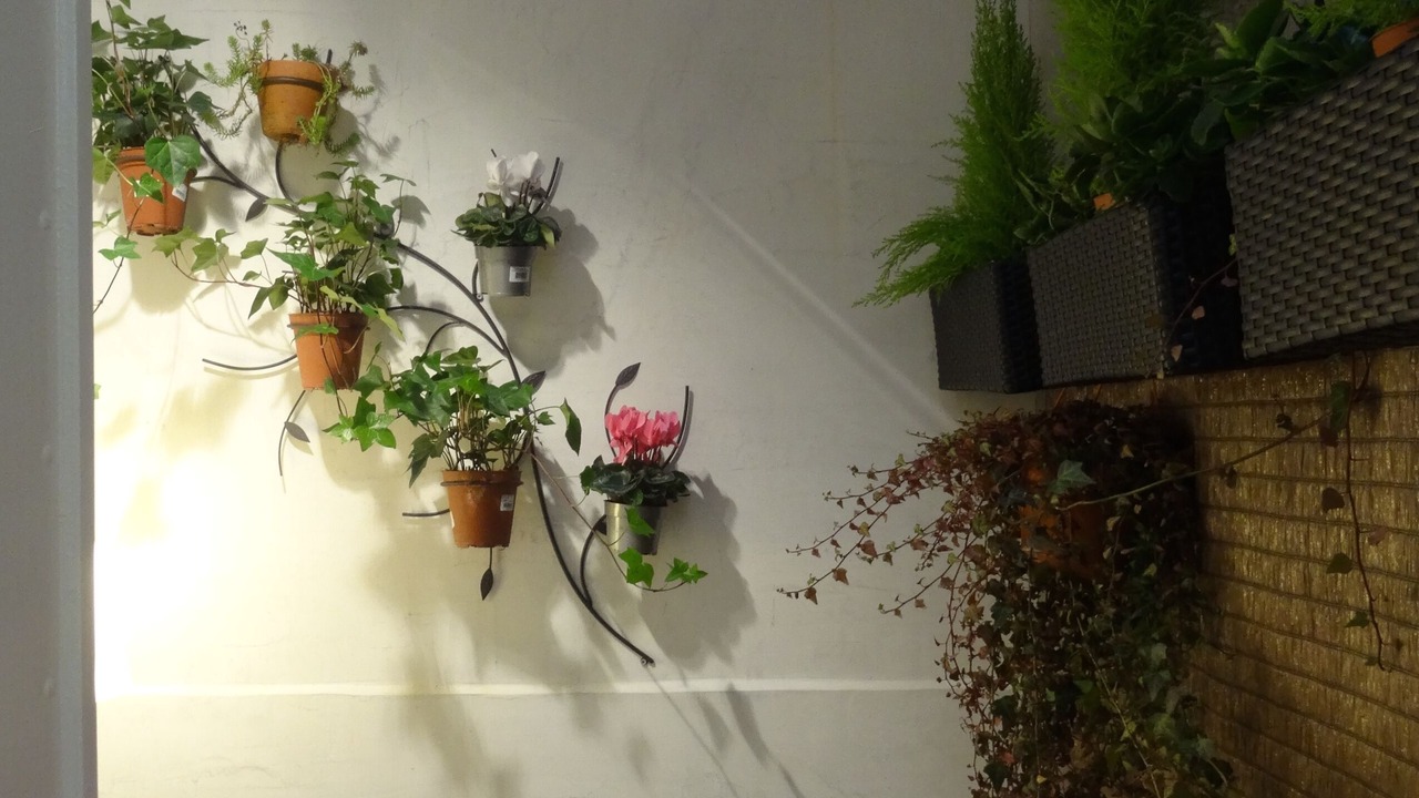 Photo of Outdoor in Jardin des plantes