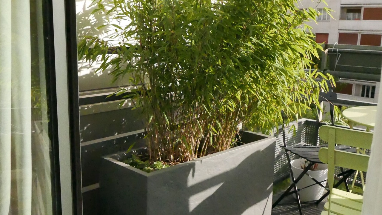 Photo of Outdoor in 12th Arrondissement