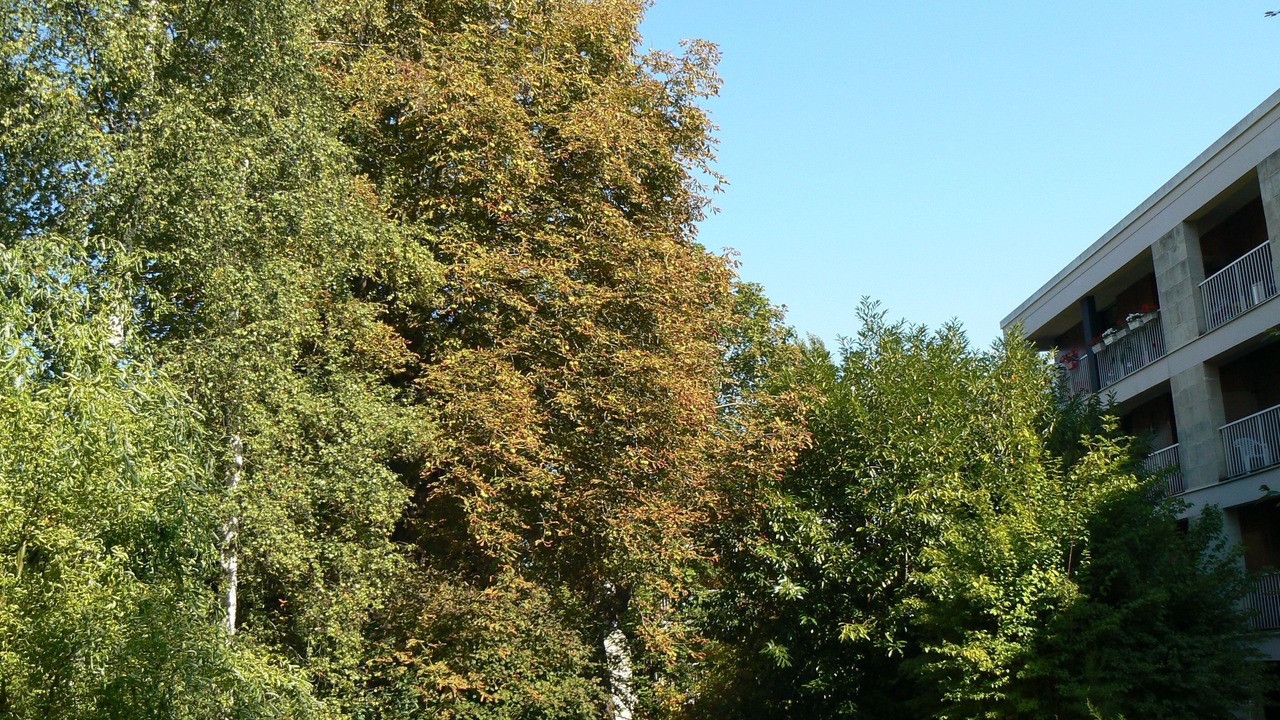 Photo of Others in Ville-d'Avray