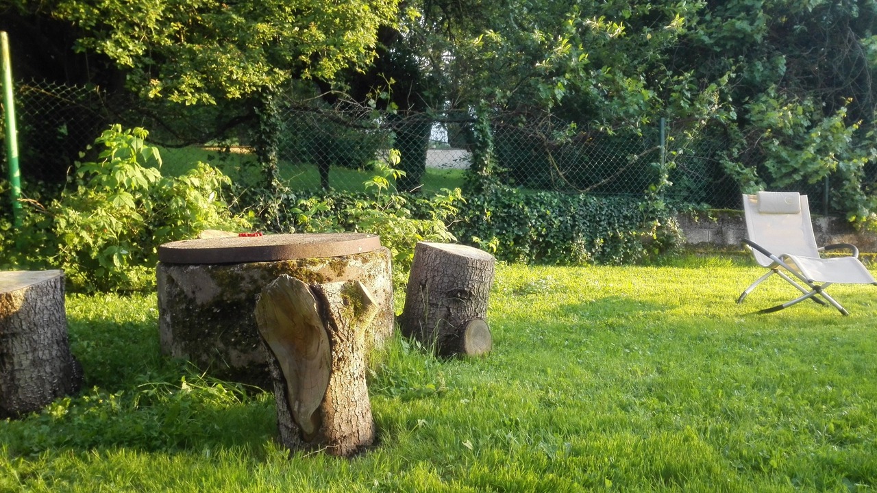 Photo of Outdoor in Saint-Germain-sur-Morin