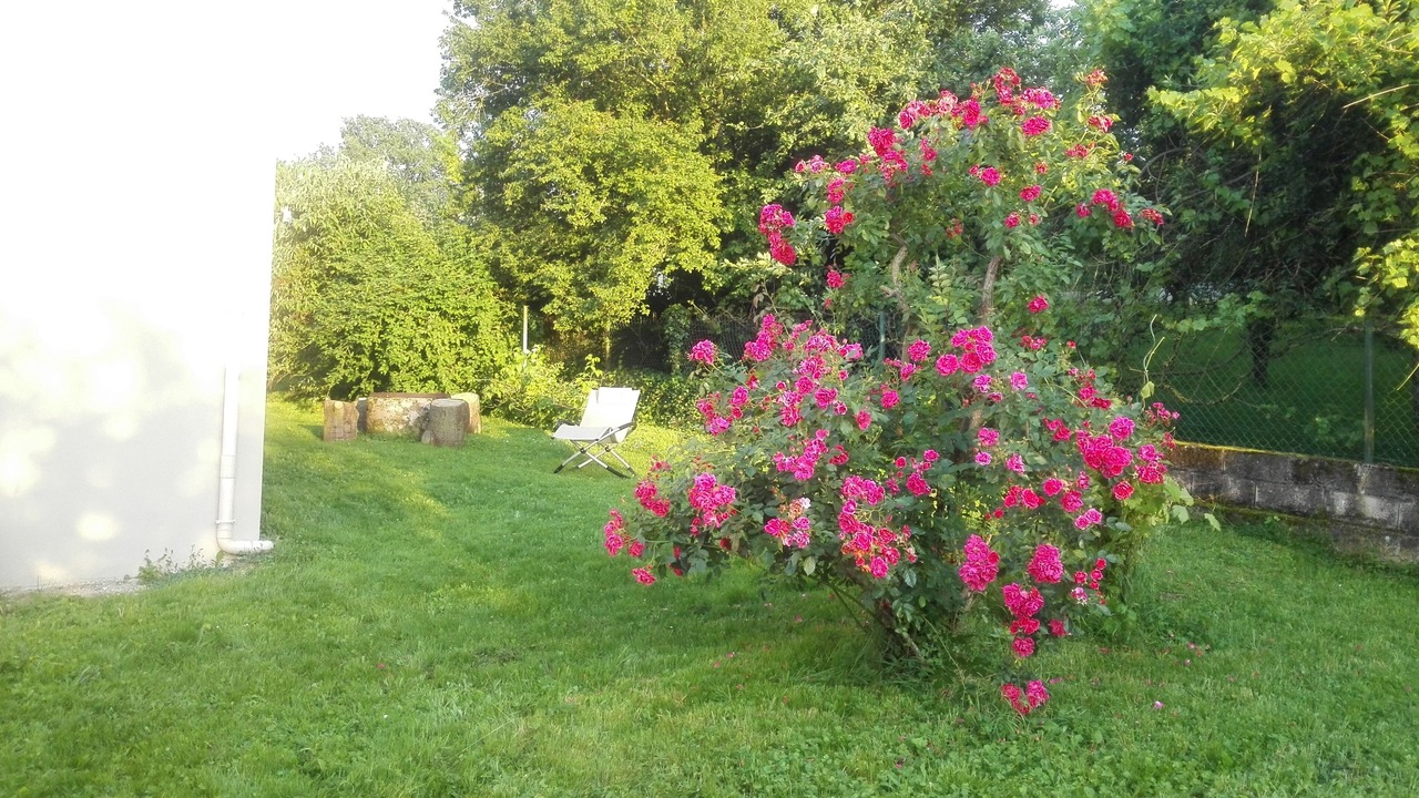 Photo of Outdoor in Saint-Germain-sur-Morin