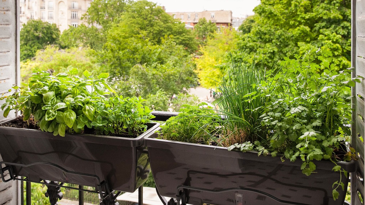 Photo of Outdoor in 3rd Arrondissement