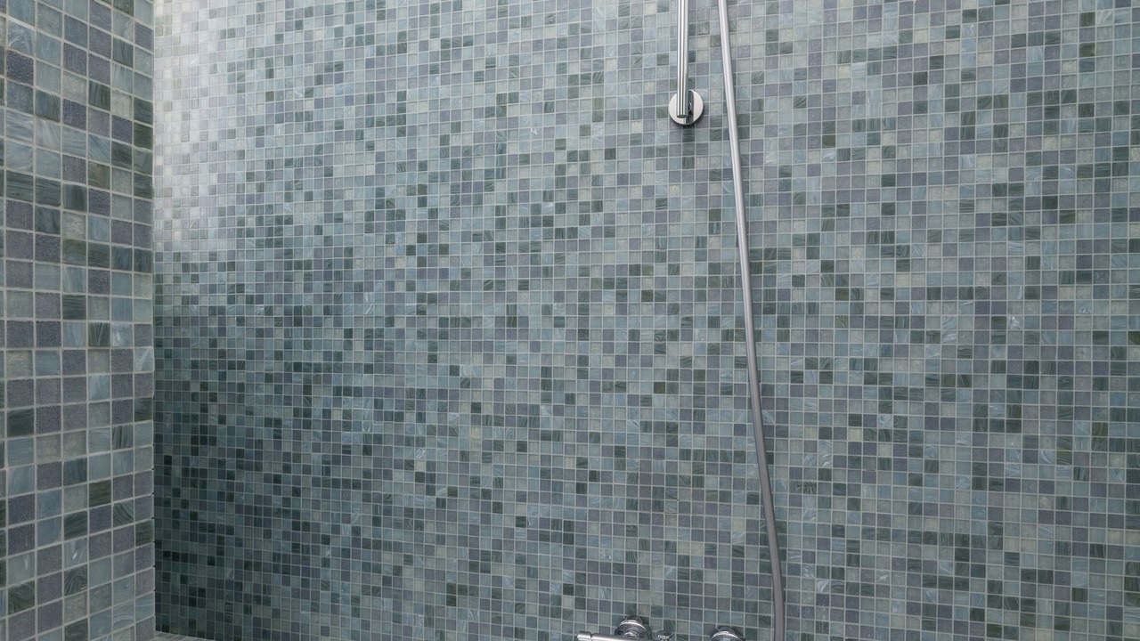Photo of Bathroom in Grenelle