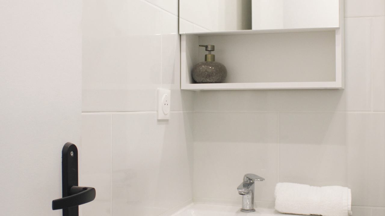 Photo of Bathroom in L'Ile-Saint-Denis