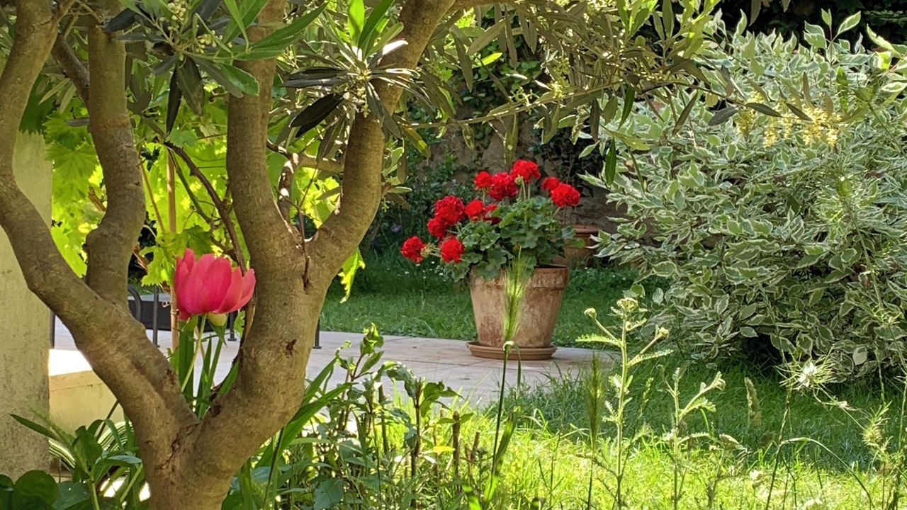 Photo of Outdoor in Louis Bertrand-Mirabeau-Semard