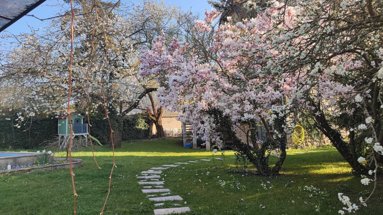 Photo of Outdoor in Lagny-sur-Marne