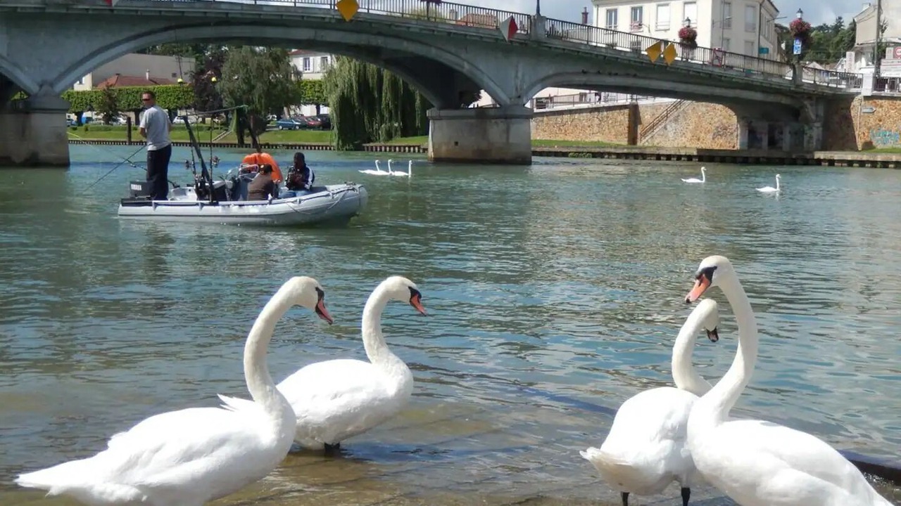 Photo of Others in Lagny-sur-Marne