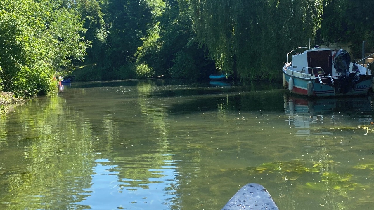 Photo of Others in Joinville-le-Pont