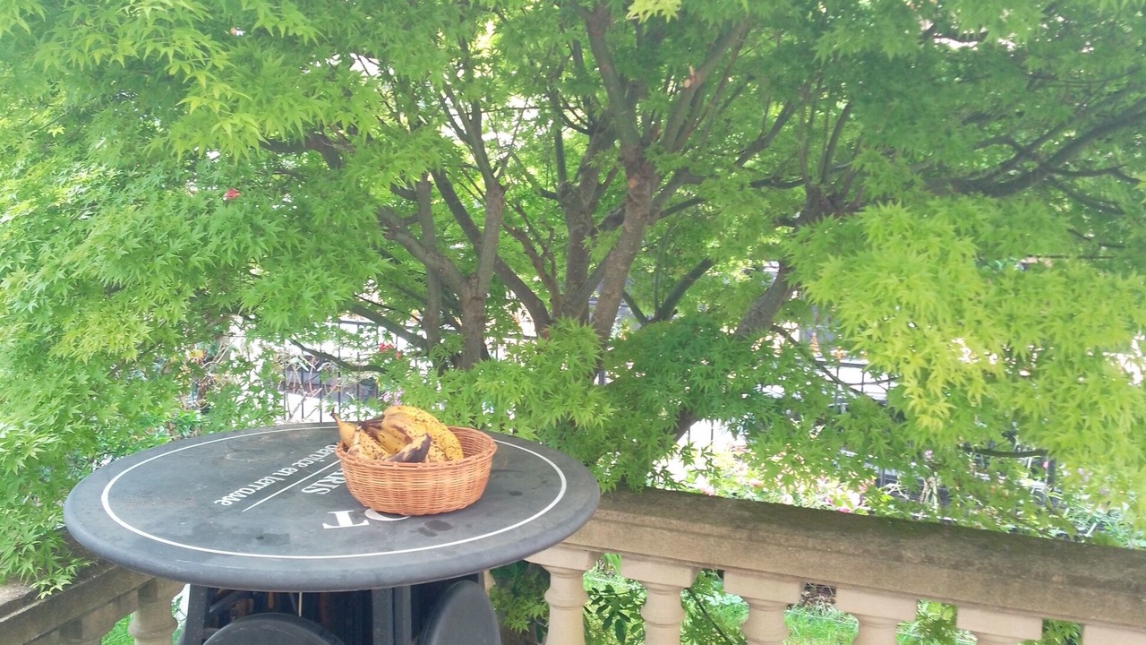 Photo of Outdoor in Fresnes