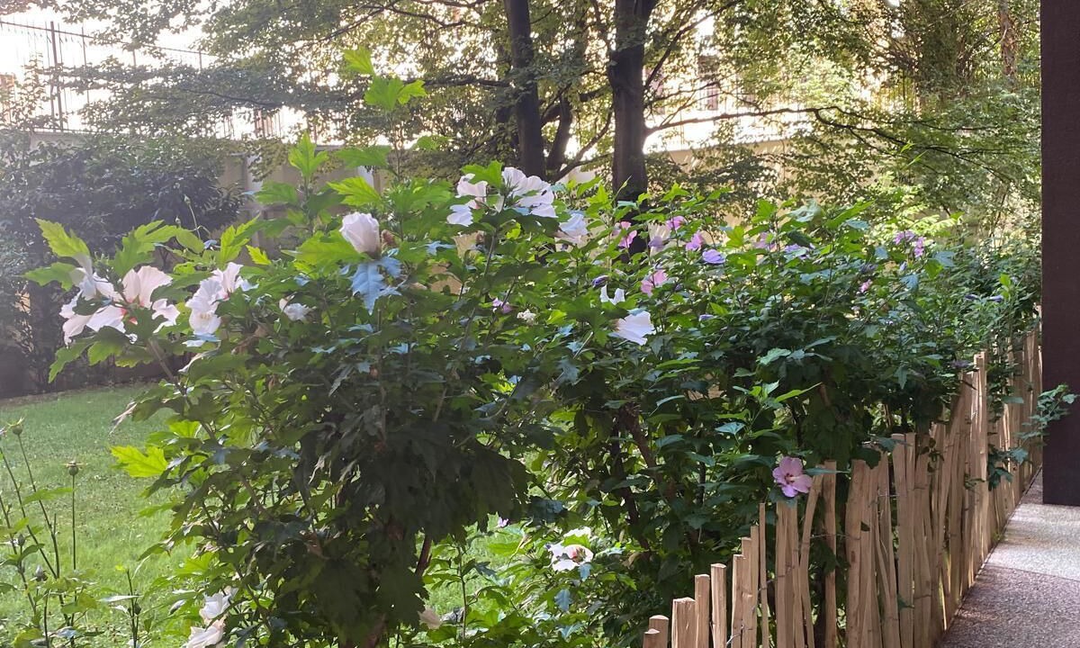 Photo of Outdoor in Hopital Saint-Louis