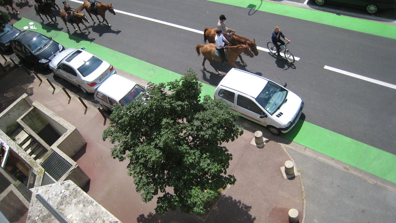 Photo of Others in Joinville-le-Pont