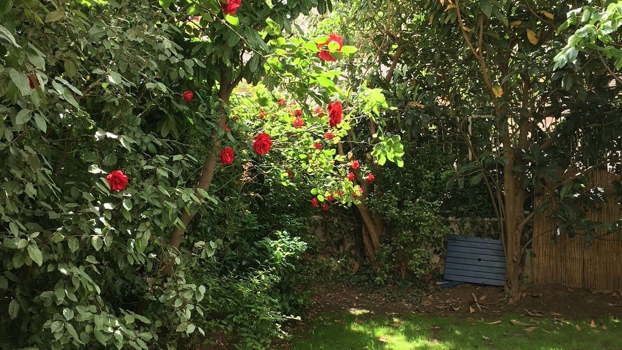 Photo of Outdoor in Saint-Fargeau