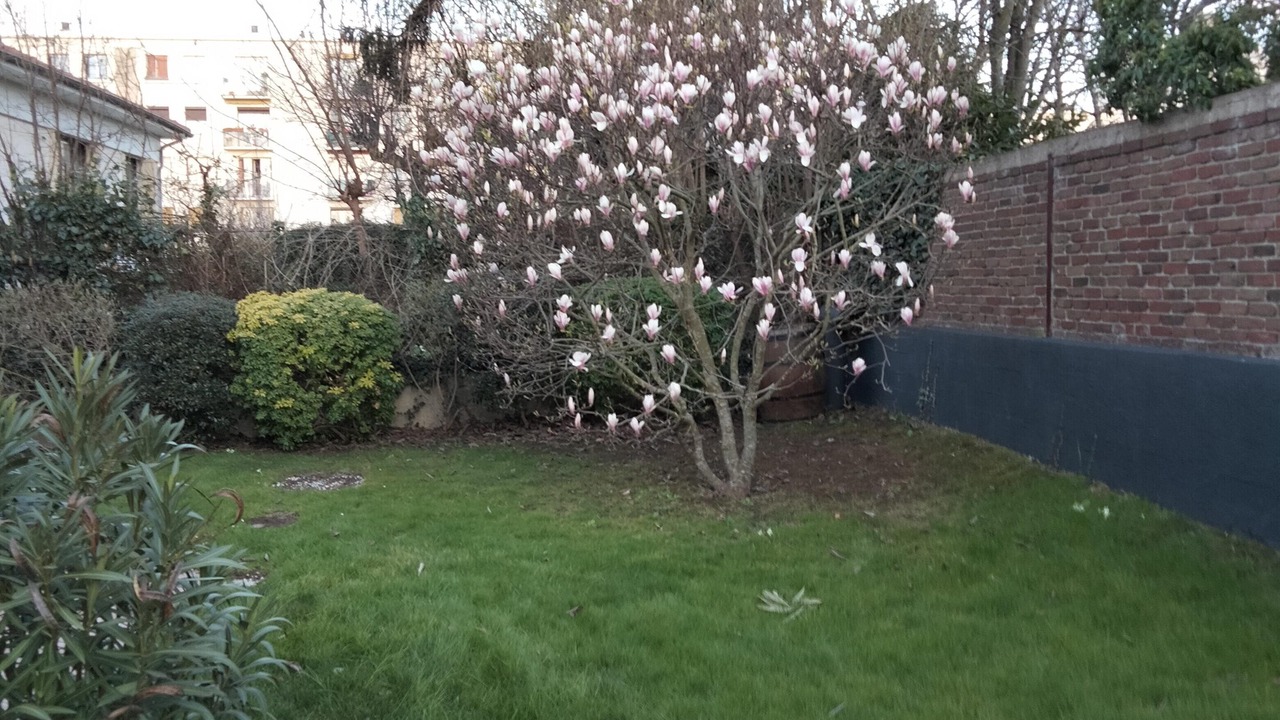 Photo of Outdoor in Rueil-Malmaison