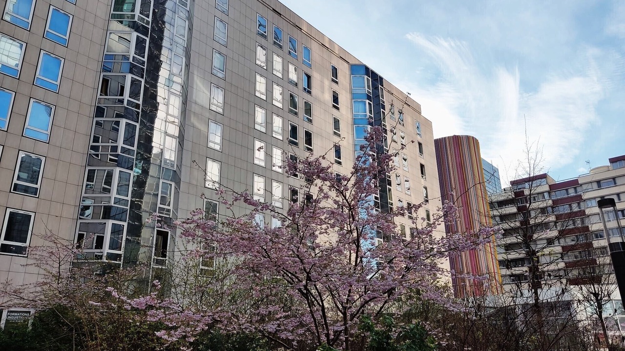 Photo of Outdoor in Gambetta