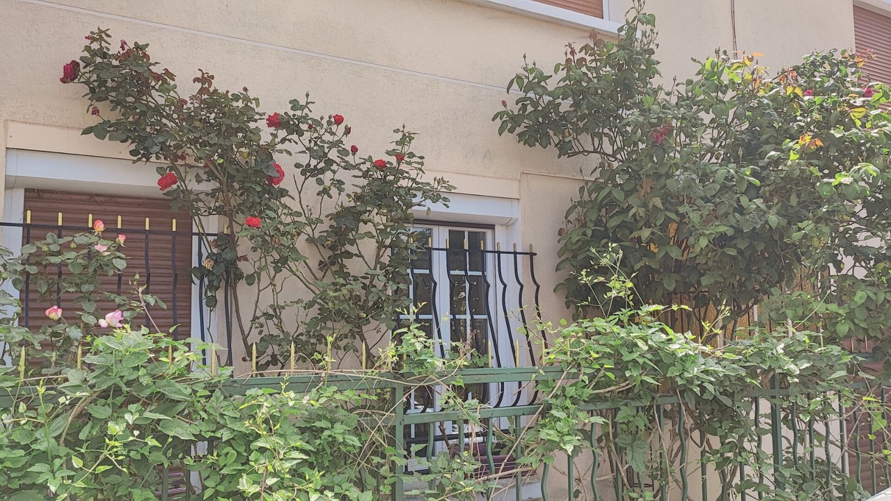 Photo of Outdoor in Rosny-sous-Bois