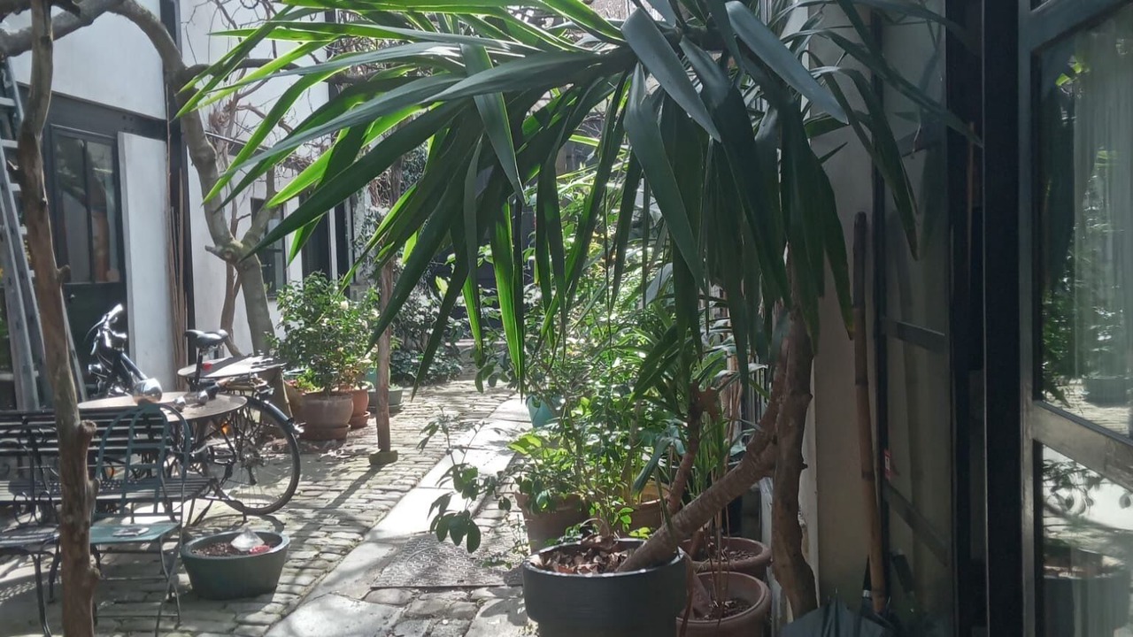 Photo of Outdoor in Amerique