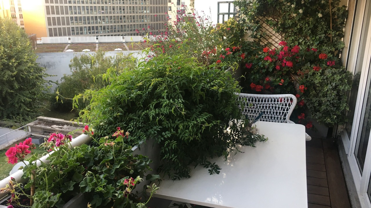 Photo of Patio Balcony in Quinze-Vingts
