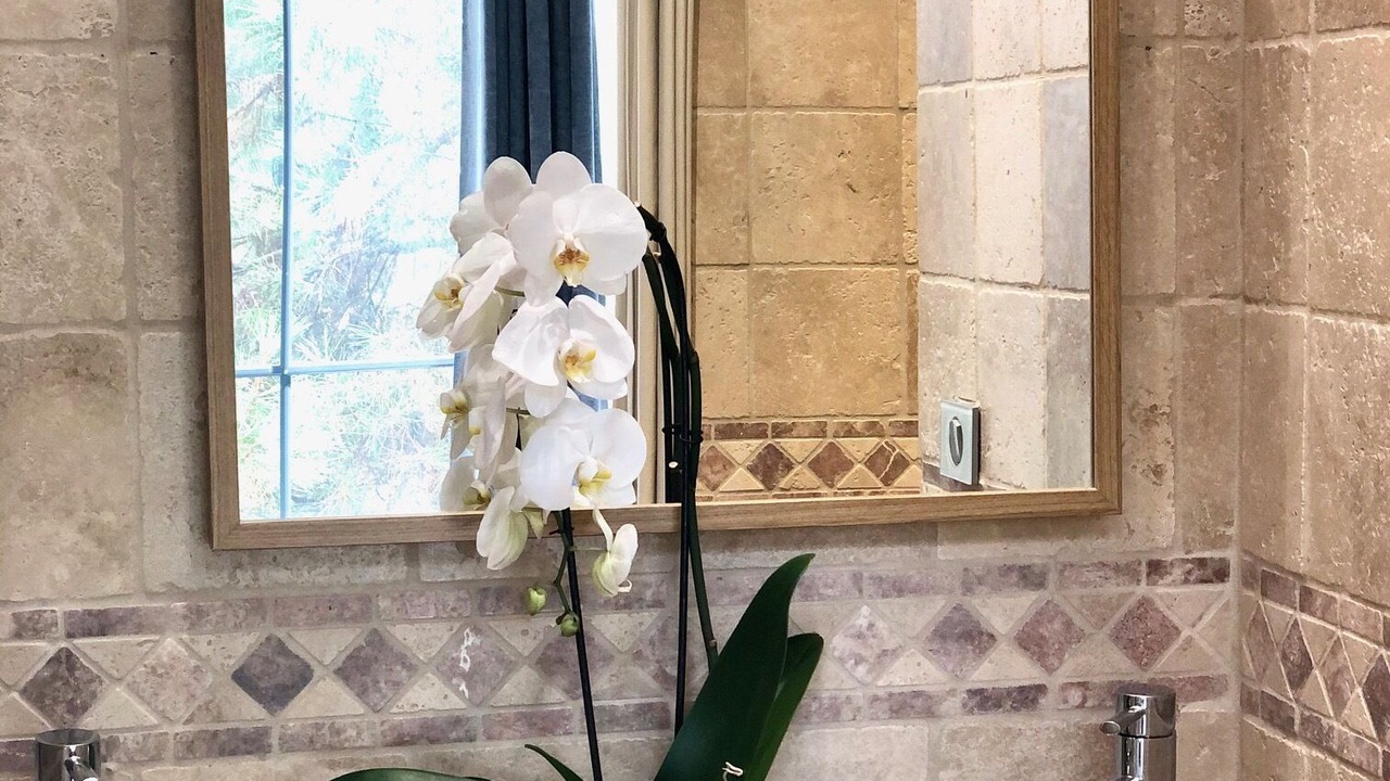 Photo of Bathroom in Combat