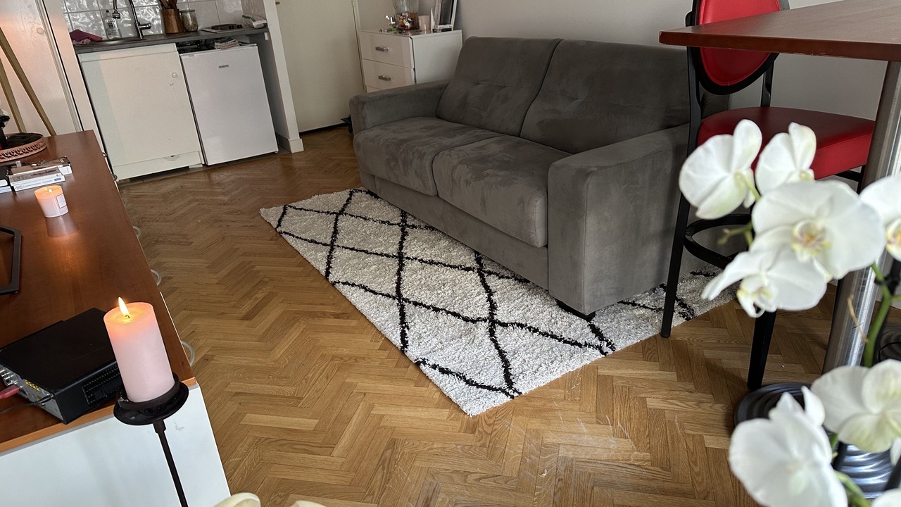 Photo of Livingroom in Passy