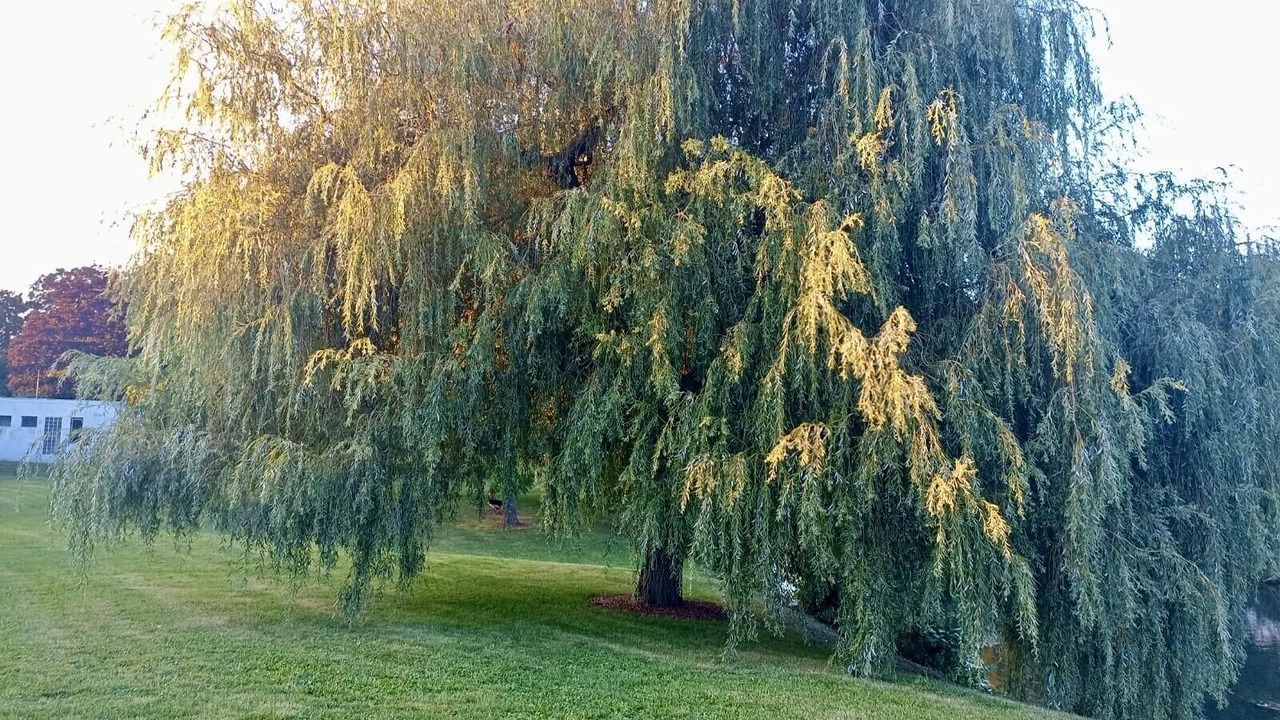 Photo of Outdoor in Saint-Germain-sur-Morin