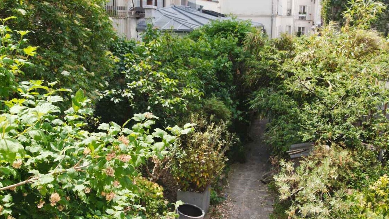 Photo of Outdoor in Belleville