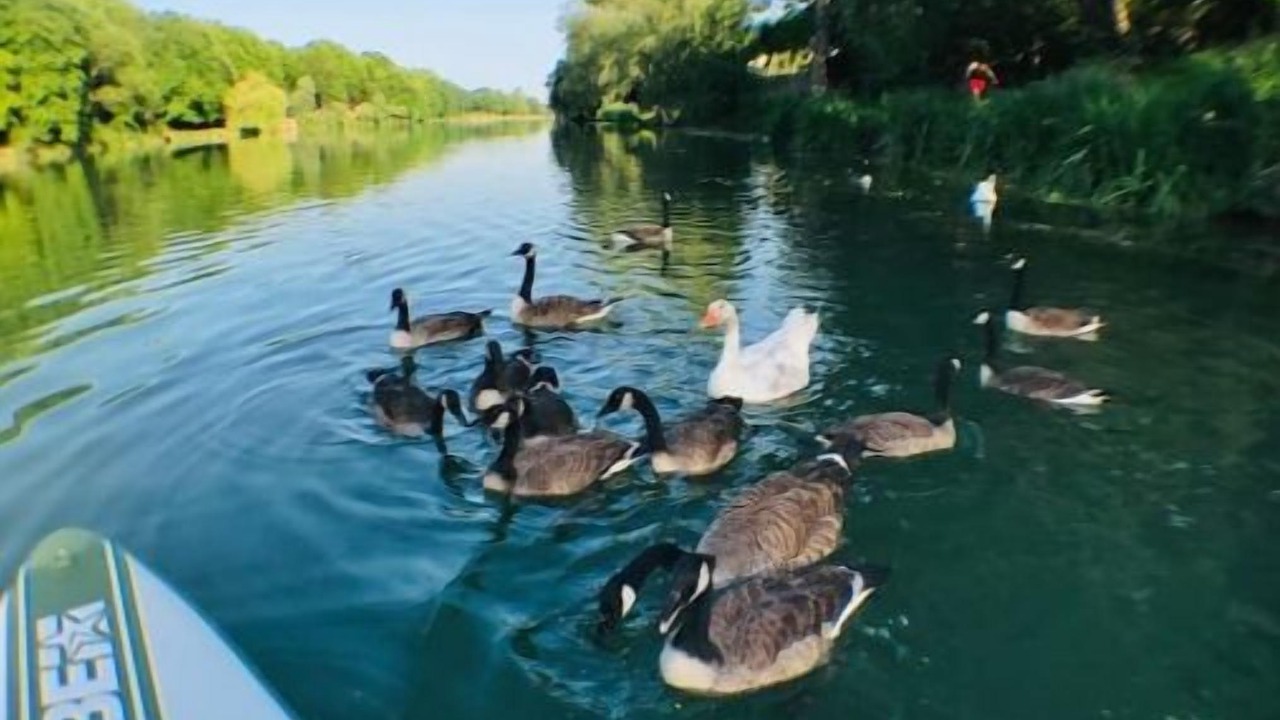Photo of Others in La Varenne Saint-Hilaire