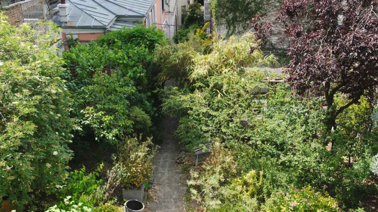 Photo of Outdoor in Belleville