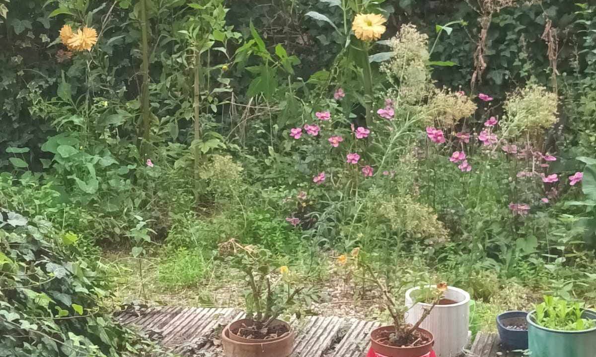 Photo of Outdoor in Bois-Colombes