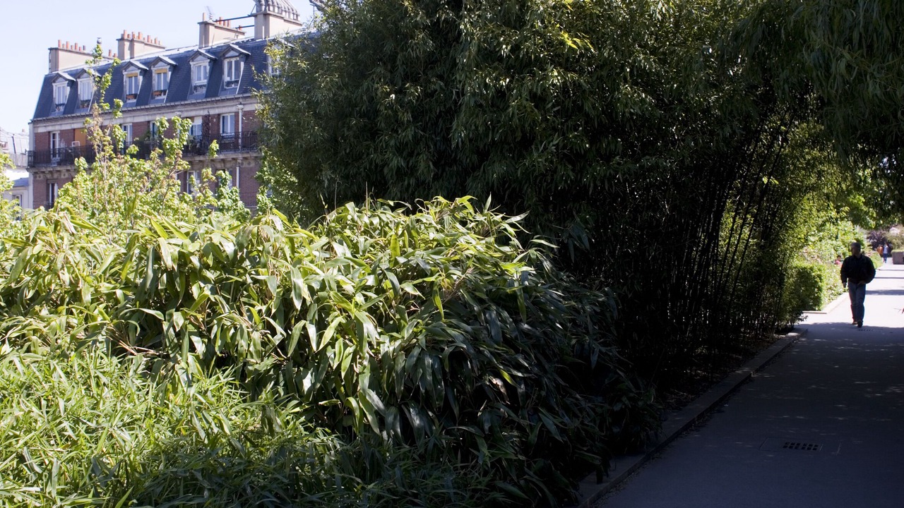 Photo of Outdoor in 12th Arrondissement