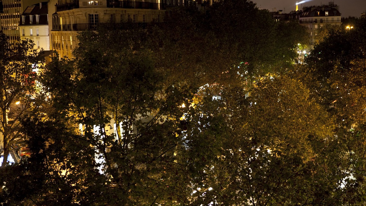 Photo of Others in 12th Arrondissement