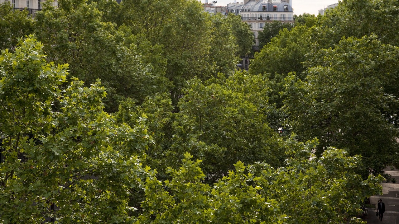 Photo of Outdoor in 12th Arrondissement